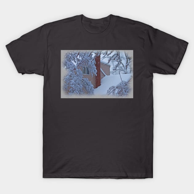 Memories of the last winter T-Shirt by vadim19